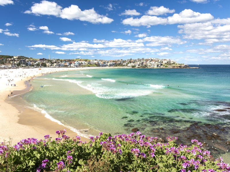 An Aerial view of Bondi Beach, Sydney in the daytime summer